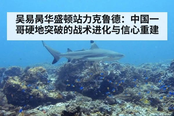 吴易昺华盛顿站力克鲁德:中国一哥硬地突破的战术进化与信心重建