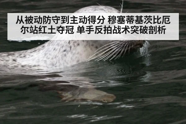 从被动防守到主动得分 穆塞蒂基茨比厄尔站红土夺冠 单手反拍战术突破剖析
