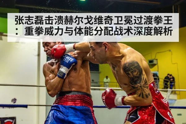 张志磊击溃赫尔戈维奇卫冕过渡拳王:重拳威力与体能分配战术深度解析